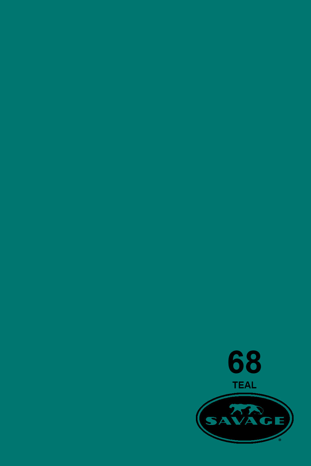 Savage Widetone Seamless Background Paper (#68 Teal, 9ft x 36ft)
