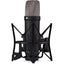 RODE NT1 5th Generation Large-Diaphragm Cardioid Condenser XLR/USB Microphone