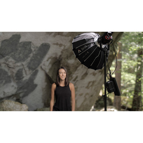 Aputure Light Storm LS COB-120D Mark-II LED Light Kit with V-mount Battery Plate