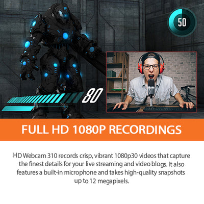 Avermedia PW3100 HD Webcam 310