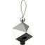 Datacolor Spyder CUBE RAW Calibration Tool