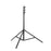 Godox 300F Medium Light Stand (9.8')