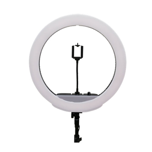 LiteTech MM-25 LED Ring Light with Light Stand